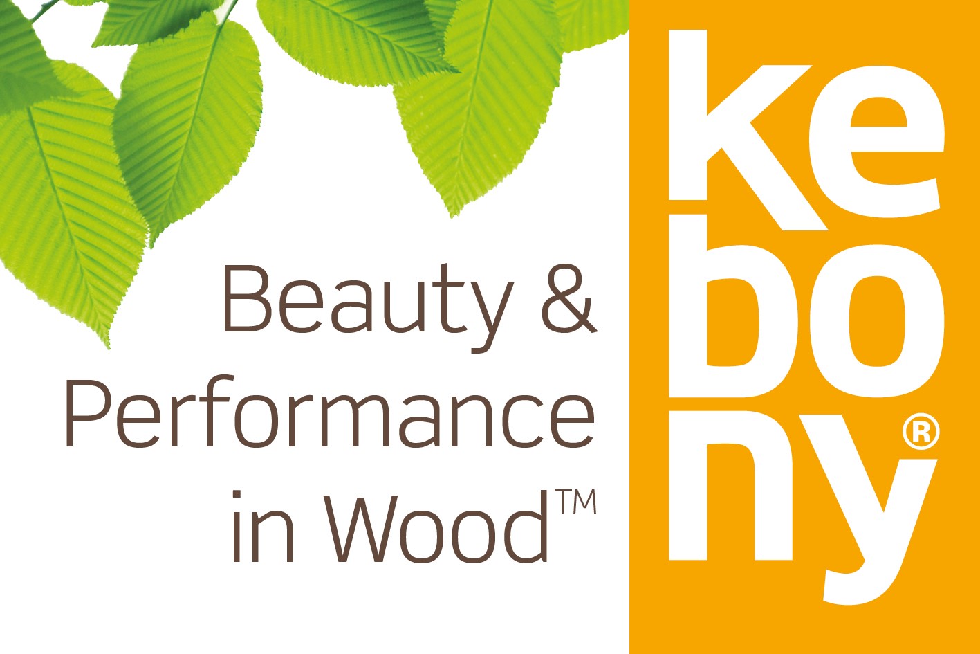 Kebony Wood