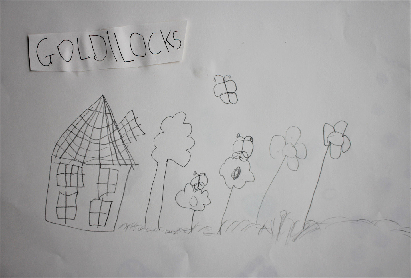 ANNA, AGE 5. I have made a beautiful big garden for Goldilocks, next to her house, so she doesn’t need to go into the woods to pick flowers again. There’s a big tree and lots of tall flowers and butterflies (to help grow more flowers) I think she’d be very happy there.