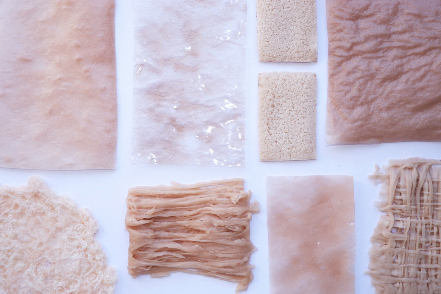 Sustainable bioplastic crafted from chickpea water.  ©  Paula Nerlich