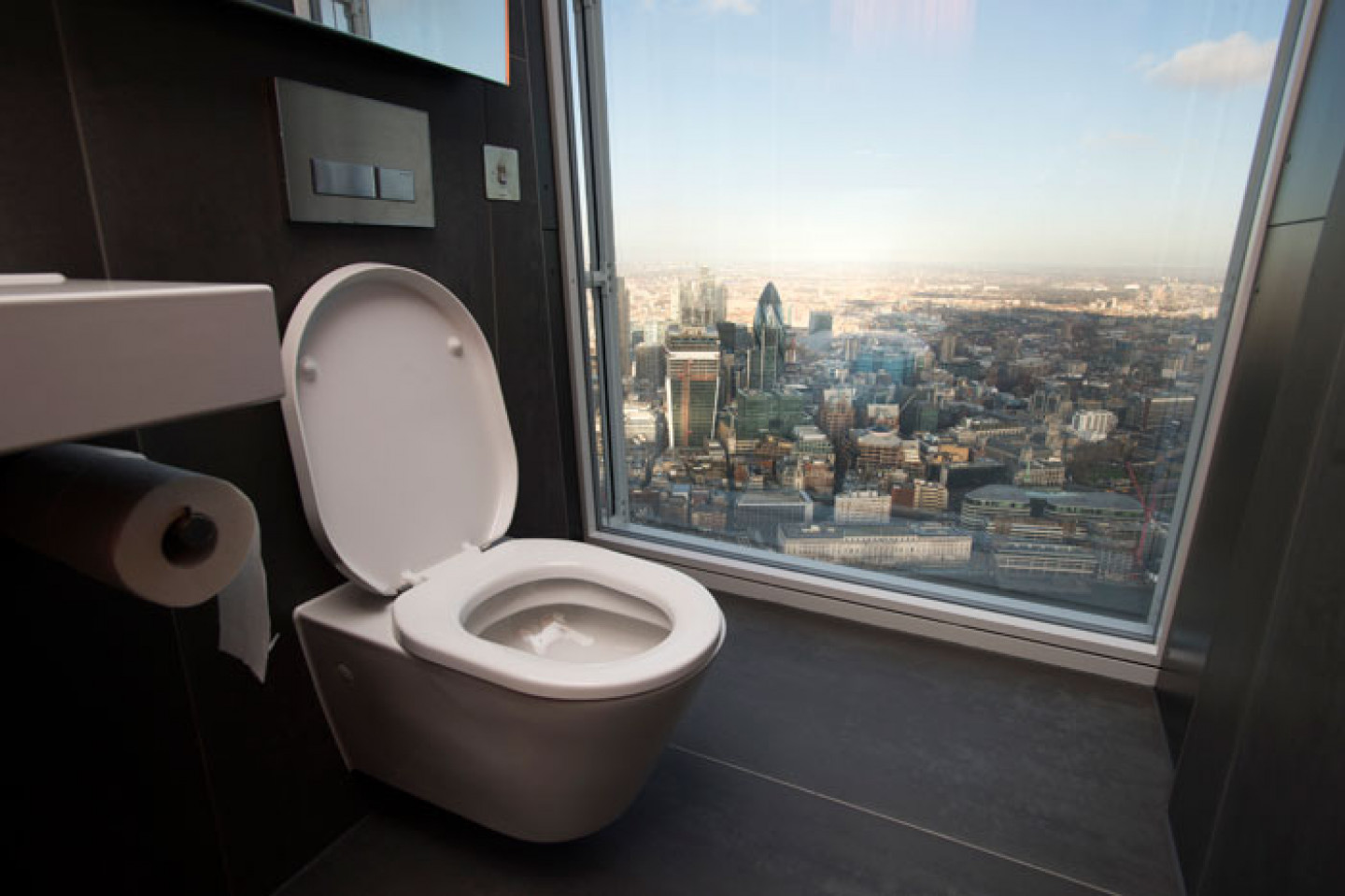 Toilet scene. Туалет с панорамными окнами. Необычные унитазы. Окно в туалете. Виды туалетов.