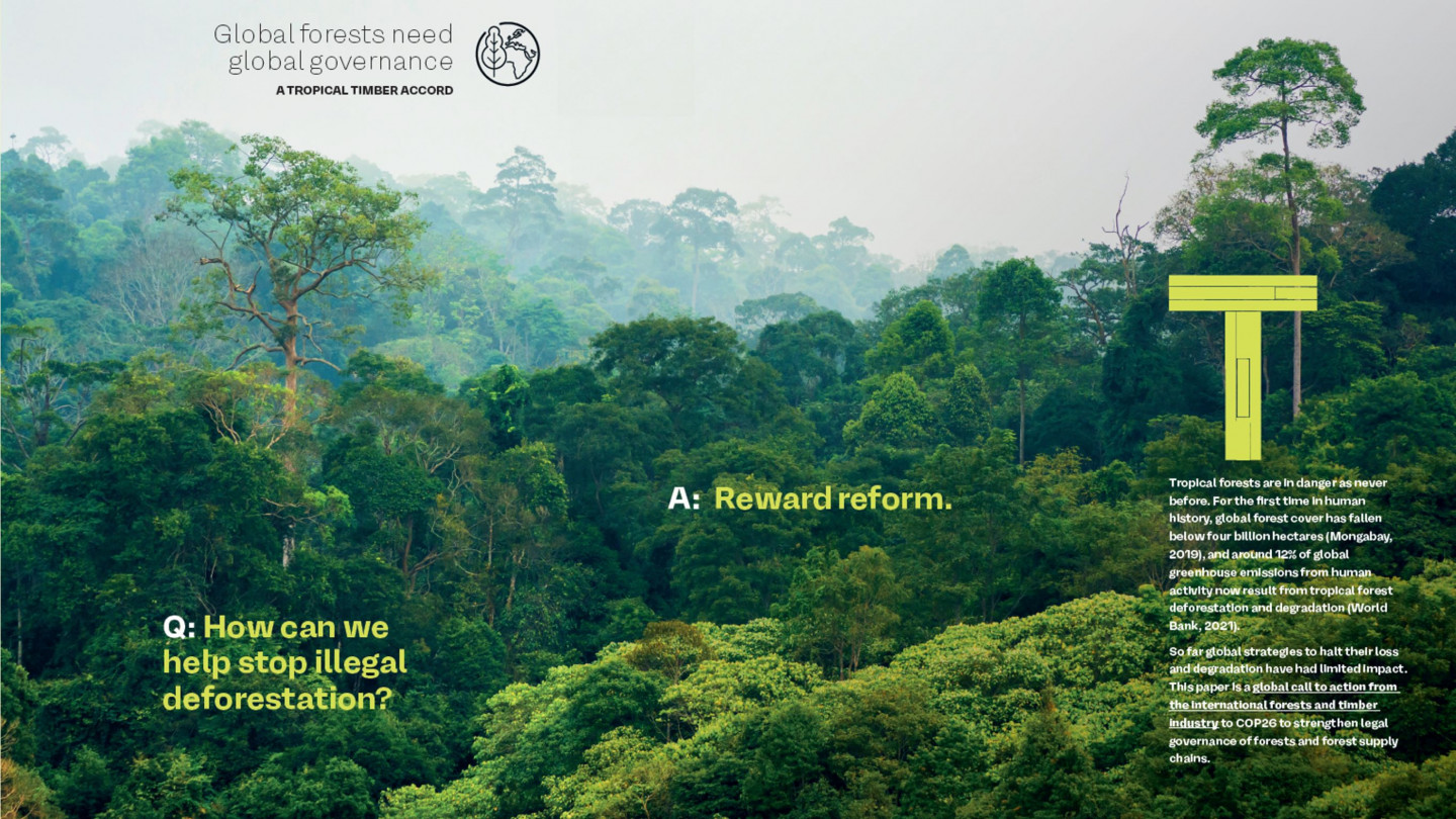 'Global Forest need Global Governance' - Tropical Timber Accord launched at COP26 © TTF